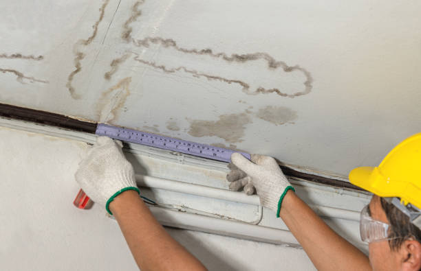 Reliable Structural Drying contractor in Loomis, WA by Water Damage Irwin